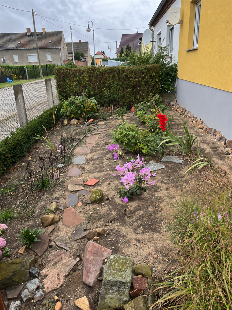 Vorgarten Doppelhaushälfte Zwethau