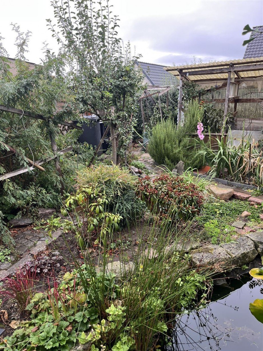 Garten Doppelhaushälfte Zwethau