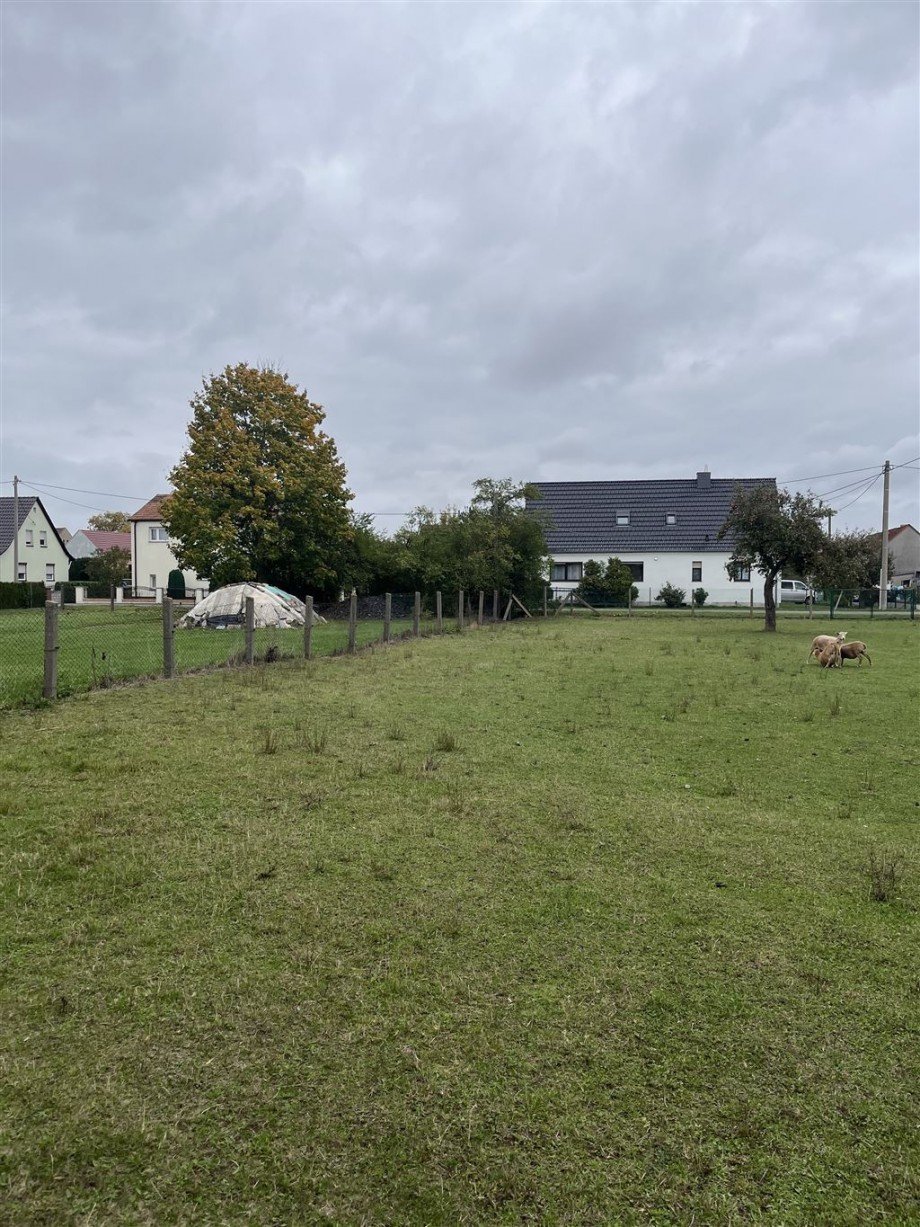 östlicher Blick Wohngrundstück Nichtewitz