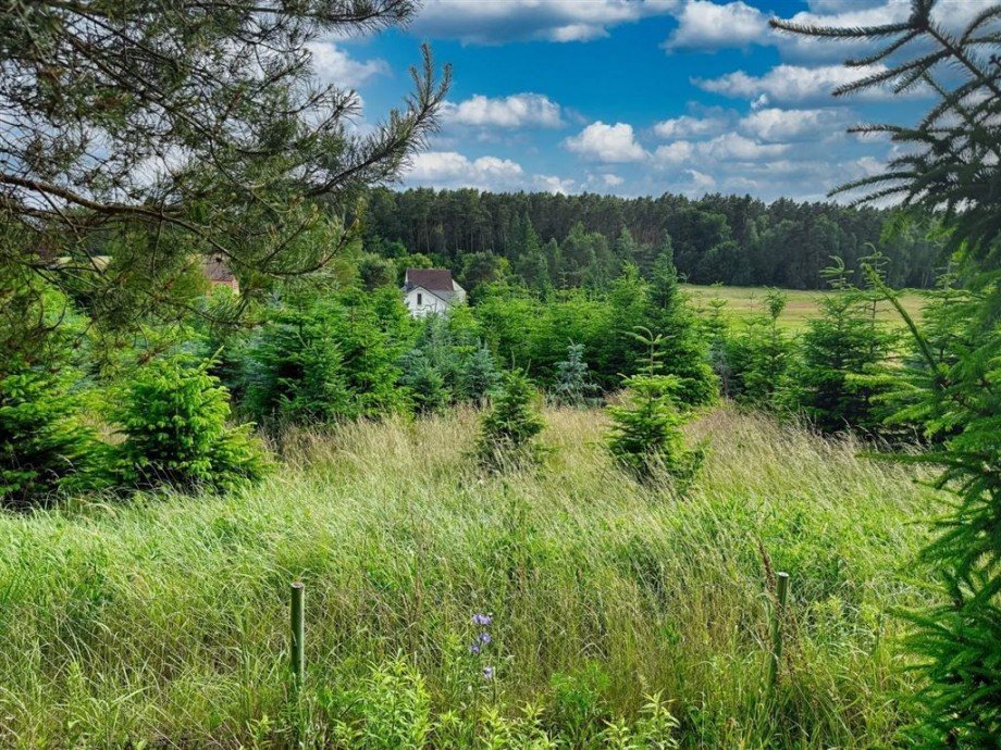Ausblick Freizeitgrundstück Bad Schmiedeberg
