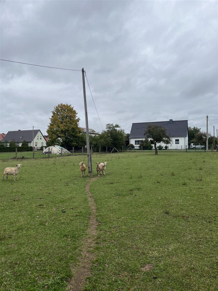Grundstück Wohngrundstück Nichtewitz