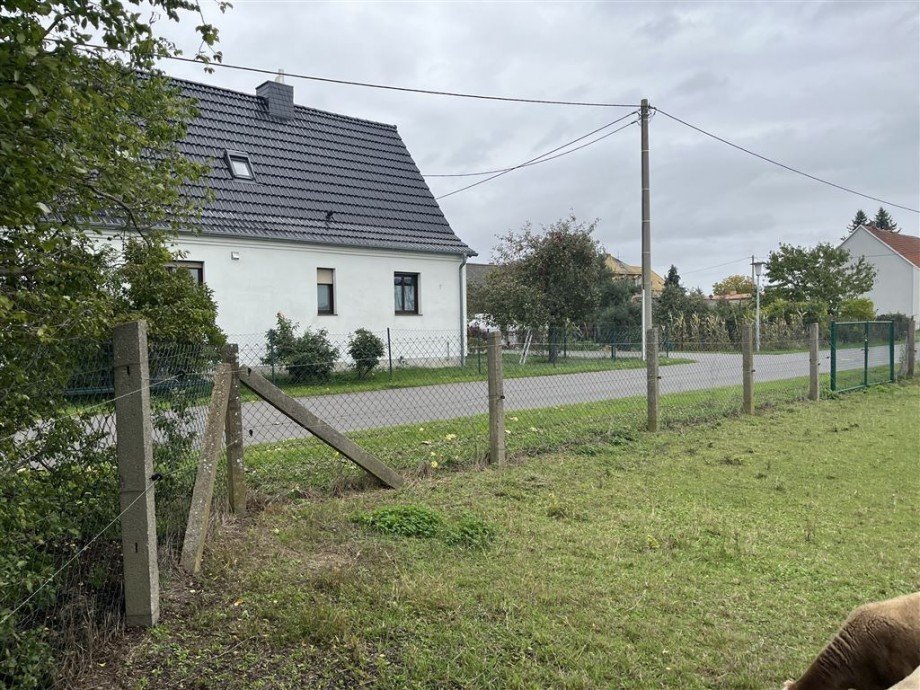 Blick zur Straße (östlich) Wohngrundstück Nichtewitz