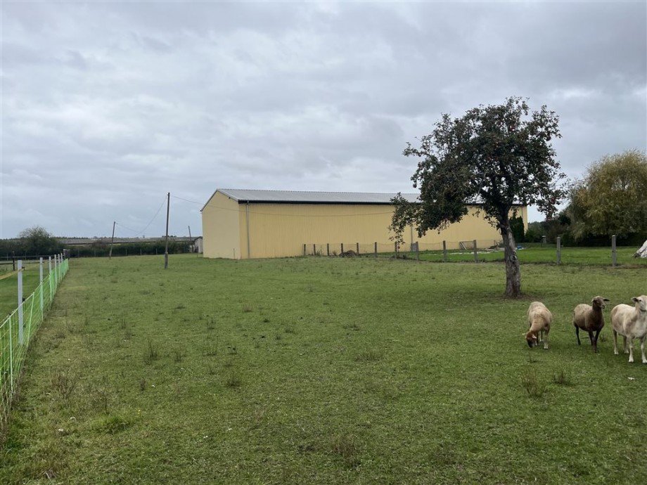 westlicher Blick Wohngrundstück Nichtewitz