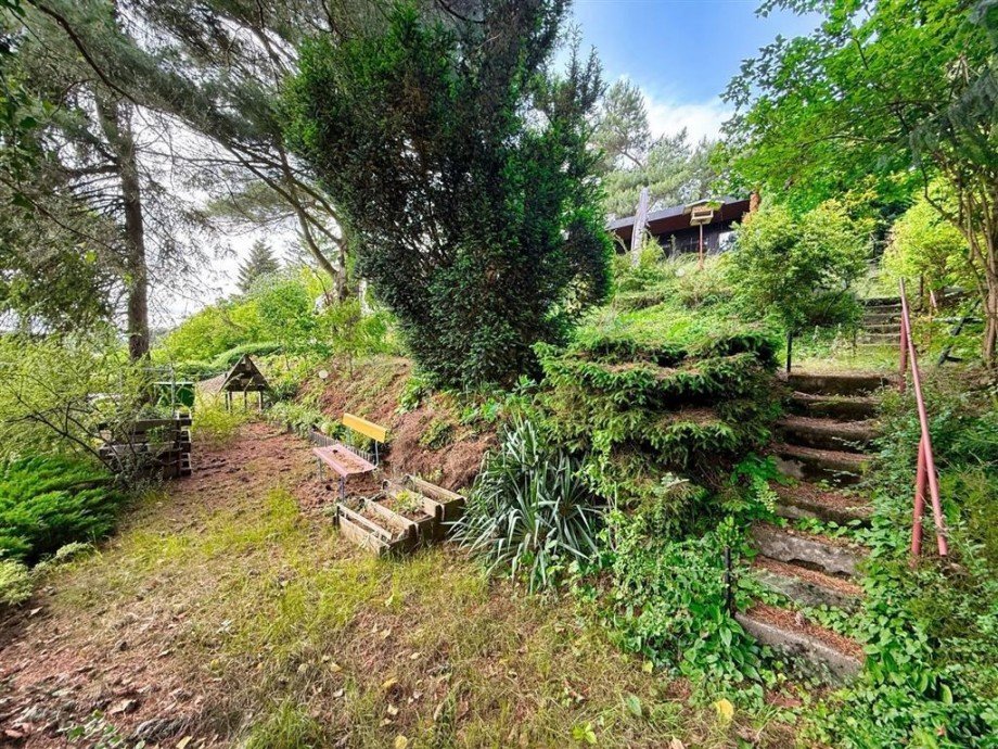 Terrassenfoermiges Grundstück Freizeitgrundstück Bad Schmiedeberg