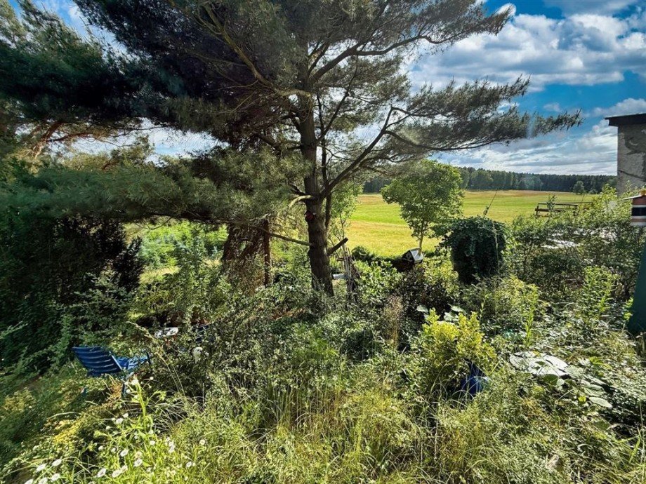 Ausblick Freizeitgrundstück Bad Schmiedeberg