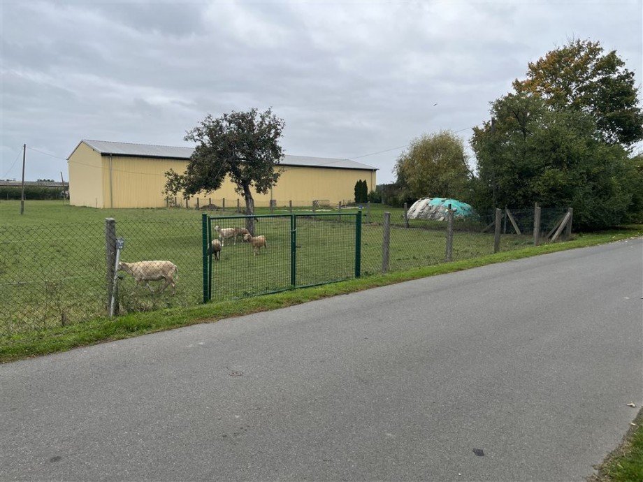 Ansicht von Straße Wohngrundstück Nichtewitz
