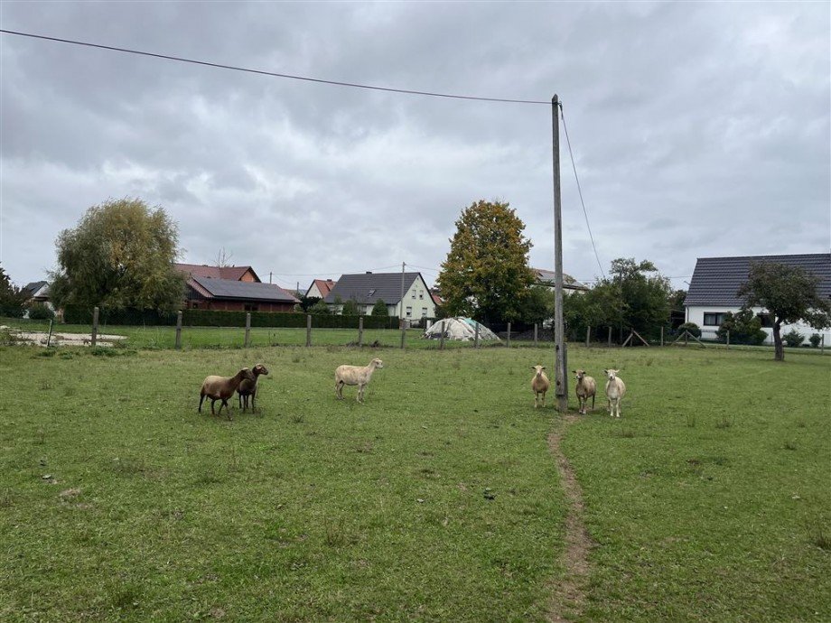 nordöstlicher Blick Wohngrundstück Nichtewitz